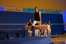 Anschaffung eines Seitpferds