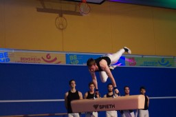 Anschaffung eines Seitpferds